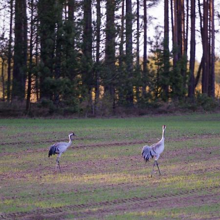 Kaszubska Odskocznia Ostoja Bukowo Villa Borowy Mlyn Bagian luar foto