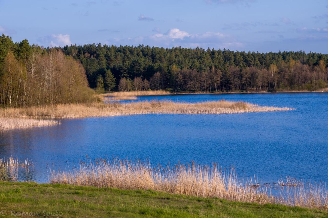 Kaszubska Odskocznia Ostoja Bukowo Villa Borowy Mlyn Bagian luar foto