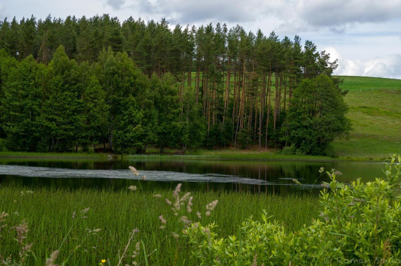 Kaszubska Odskocznia Ostoja Bukowo Villa Borowy Mlyn Bagian luar foto